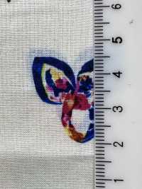 DP-7940-1 60精纺细布喷墨围巾[面料] HOKKOH北高 更多图片