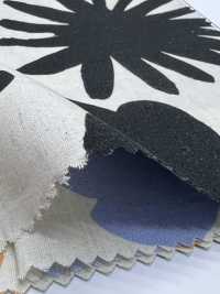 7026-720-1 CL 平纹布 Angel Soft Daihana[面料] HOKKOH北高 更多图片