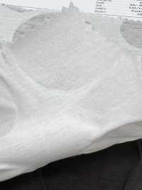 7026-420-1 60/-天竺平针织物盐缩水[面料] HOKKOH北高 更多图片