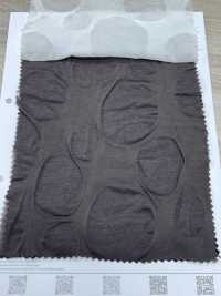 7026-420-1 60/-天竺平针织物盐缩水[面料] HOKKOH北高 更多图片