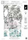 KKP5603-58-DHM-76 纺纱 精纺细布 宽幅