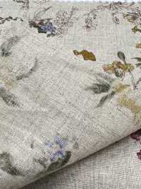 7026-1710-4 CL坯布植物图案[面料] HOKKOH北高 更多图片