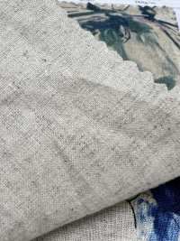 7026-1710-5 CL 坯布 Touch 大花[面料] HOKKOH北高 更多图片