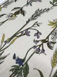 3026-1770-1 21W灯芯绒[面料] HOKKOH北高 更多图片