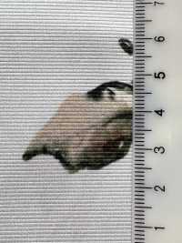 KDP8712-58-DD-563 哑光罗缎宽幅喷墨打印[面料] 小纹工房(宇仁纤维) 更多图片