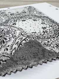 7026-1600-6 80/240 场蕾丝[面料] HOKKOH北高 更多图片