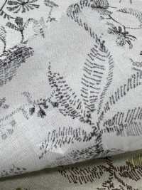 3026-1650-1 60种精纺细布绣花[面料] HOKKOH北高 更多图片