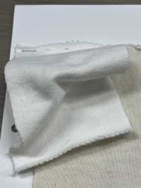 W-48377 Vintage Champion 毛圈布 II[面料] Minami 更多图片