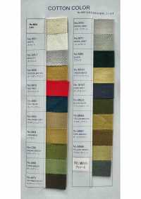 10-AG-CO-C WALDES复古拉链，古金色，10 种尺寸，棉质带，闭口式 朝日拉链(Waldes) 更多图片