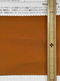 SBWN904 轻质外壳，防雨帆布塔夫[面料] 柴屋 更多图片