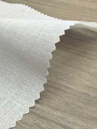 PH5500N PH5500N[衬布] 无制造商名 更多图片