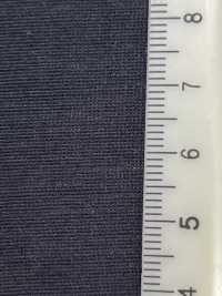 41366 Mono Natural 双层透明[面料] SUNWELL 三维尔 更多图片