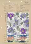 850558 麻感 竹节 萨隆德弗勒尔 Clematis