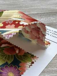 AP62902 彩色图案烫金缎纹（圆卷）[面料] Cosmo Textile 更多图片