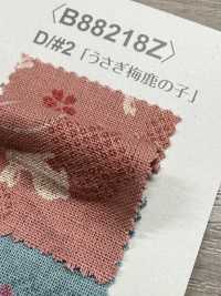 B88218Z 日式坯布，对折[面料] VANCET 奔时代 更多图片