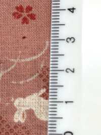 B88218Z 日式坯布，对折[面料] VANCET 奔时代 更多图片