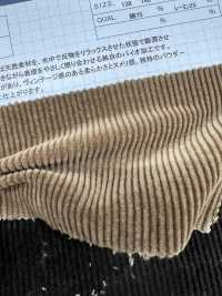 ND7035 棉/莫代尔 9W灯芯绒Nidom 生物处理[面料] 云井美人（中部别珍） 更多图片