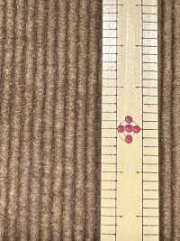 ND7035 棉/莫代尔 9W灯芯绒Nidom 生物处理[面料] 云井美人（中部别珍） 更多图片