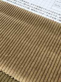 ND7025 Shankar 9W 有机灯芯绒生物加工[面料] 云井美人（中部别珍） 更多图片