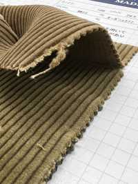 ND7025 Shankar 9W 有机灯芯绒生物加工[面料] 云井美人（中部别珍） 更多图片