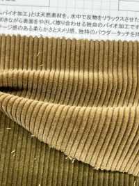 ND7025 Shankar 9W 有机灯芯绒生物加工[面料] 云井美人（中部别珍） 更多图片