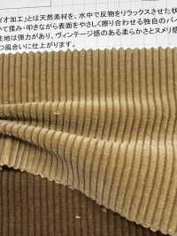 ND7005 9W 灯芯绒灯芯绒Nidom 生物处理技术[面料] 云井美人（中部别珍） 更多图片