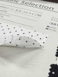 B88191Z 60线精纺细布布，波点条纹图案，对折[面料] VANCET 奔时代 更多图片