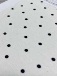 KKP8036-W-SB-321 BR×SD100d天竺平针织物宽幅[面料] 小纹工房(宇仁纤维) 更多图片