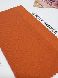 FS-1125 Philthermo® 法式绒头[面料] 更多图片