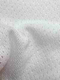 PPM-2 [里料] 更多图片