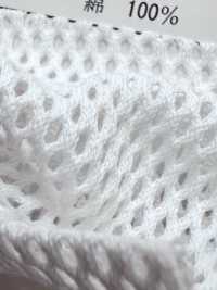 880 [里料] 更多图片