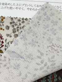 19187 灯芯绒衬衫，饰有鸟和花图案[面料] SUNWELL 三维尔 更多图片