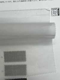 11572 80支线苎麻棉[面料] SUNWELL 三维尔 更多图片