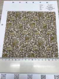 4027-680-2 80 精纺细布 Miracle Wave Threaded Sarasa[面料] HOKKOH北高 更多图片