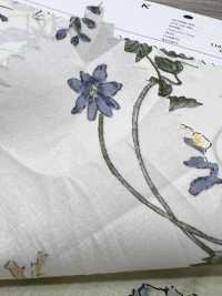 7027-640-5 80精纺细布植物[面料] HOKKOH北高 更多图片