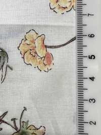 7027-640-5 80精纺细布植物[面料] HOKKOH北高 更多图片