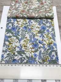 3027-650-2 60精纺细布花卉[面料] HOKKOH北高 更多图片