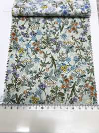 3027-650-4 60种精纺细布流行花卉[面料] HOKKOH北高 更多图片