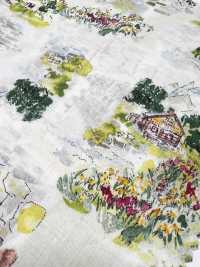3027-650-10 60精纺细布场景[面料] HOKKOH北高 更多图片