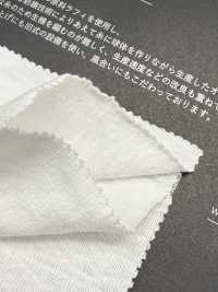 FJ680000 The Raffi Ball 天竺平针织物[面料] Fujisaki Textile 藤崎纤维 更多图片