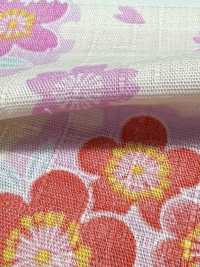 AP65101 凉花 印花 多臂提花（整卷）[面料] Cosmo Textile 其他图片