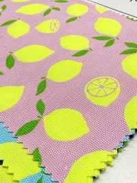 AP65103 荧光印花 牛津（整卷）[面料] Cosmo Textile 其他图片