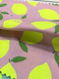 AP65103 荧光印花 牛津（整卷）[面料] Cosmo Textile 其他图片