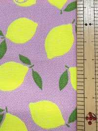 AP65103 荧光印花 牛津（整卷）[面料] Cosmo Textile 其他图片