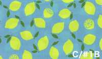 AP65103 荧光印花 牛津（整卷）[面料] Cosmo Textile 其他图片
