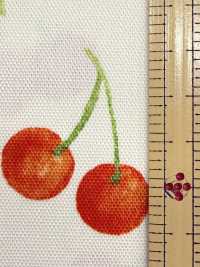 SP2650 Fruits Garden 牛津 (整卷)[面料] Cosmo Textile 其他图片