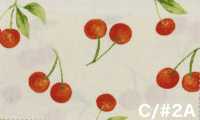 SP2650 Fruits Garden 牛津 (整卷)[面料] Cosmo Textile 其他图片