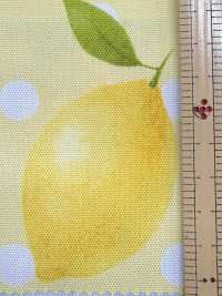 SP2650 Fruits Garden 牛津 (整卷)[面料] Cosmo Textile 其他图片