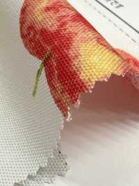 SP2650 Fruits Garden 牛津 (整卷)[面料] Cosmo Textile 其他图片