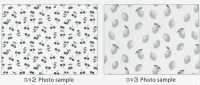 SP2650 Fruits Garden 牛津 (整卷)[面料] Cosmo Textile 其他图片